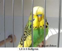 2009 008.png